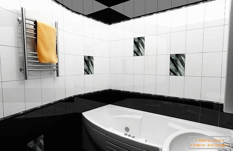 Bathroom with black and white interior