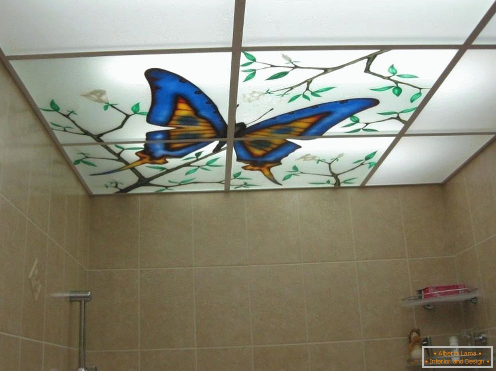 Butterfly on the ceiling