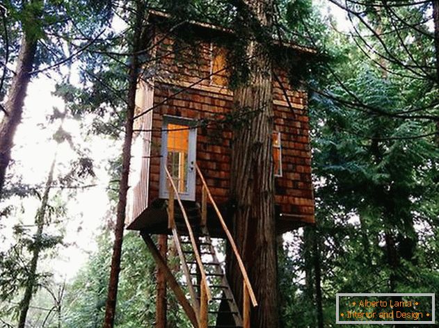 A house on a tree with a ladder. Photo 1