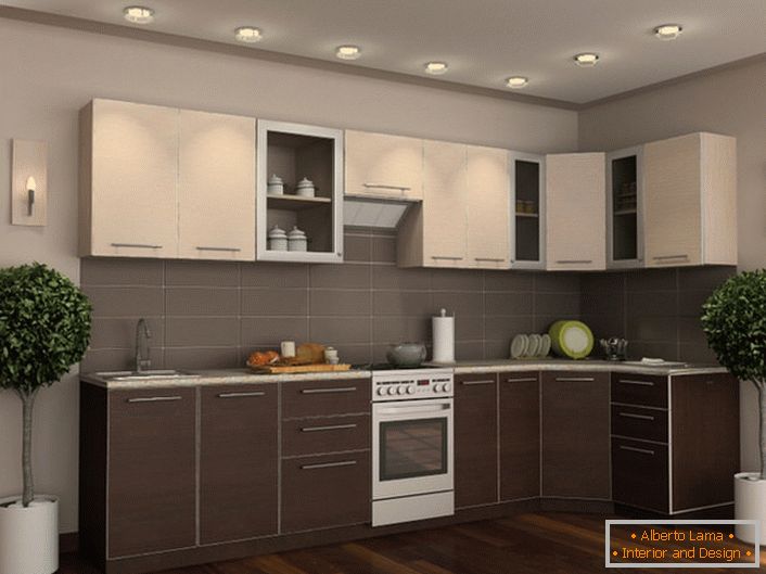 Kitchen set wenge in combination with properly selected decorative elements makes the room elegant and stylish.