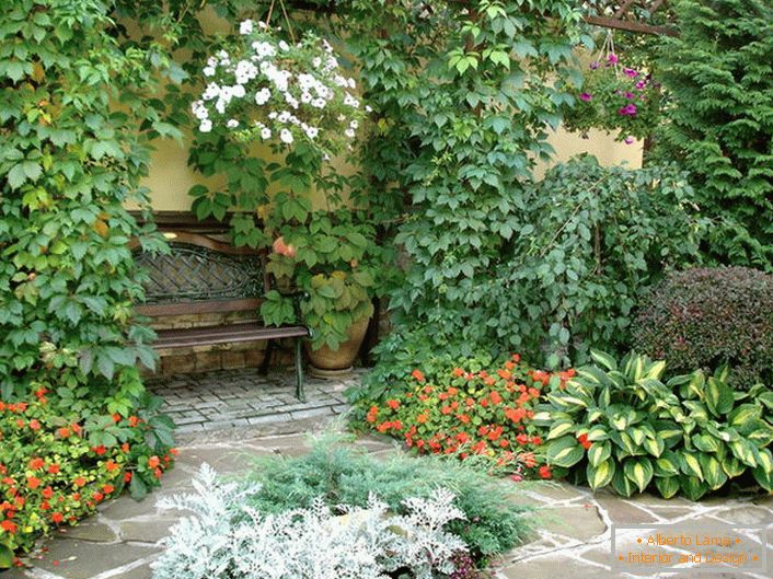 The diversity of the plant world in the courtyard indicates the presence of a Mediterranean style. Flowering plants, curly wild grapes make the atmosphere romantic.