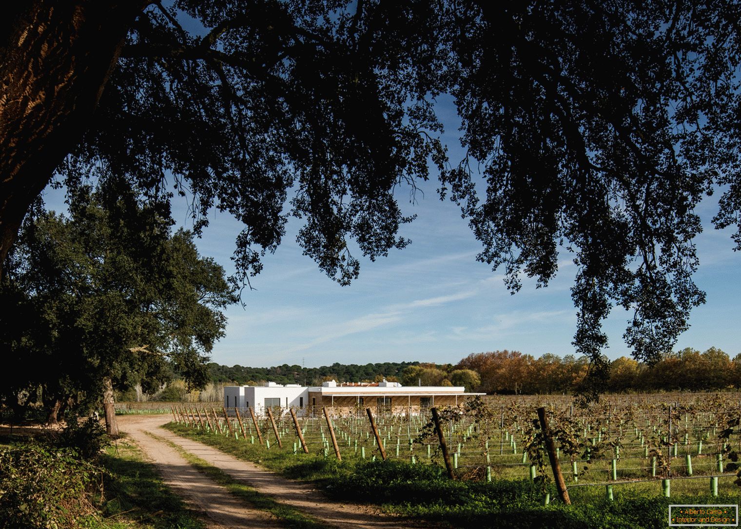 Ecohouse and vineyard