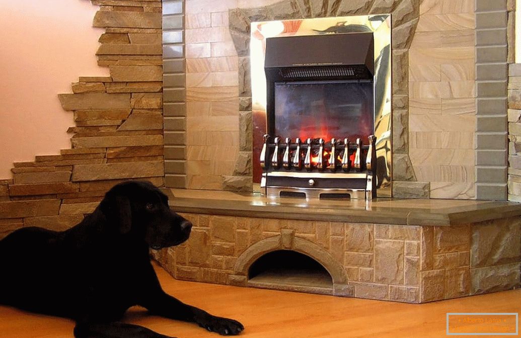 A dog by the fireplace