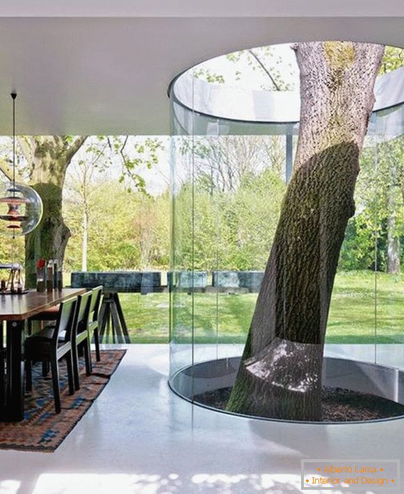 A tree in the middle of a room in a country house