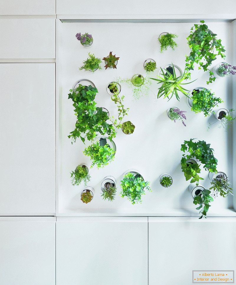 Plants in the interior