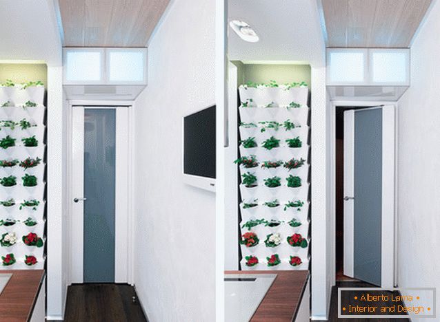Indoor plants in kitchen design