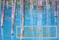 The blue pond of Hokkaido