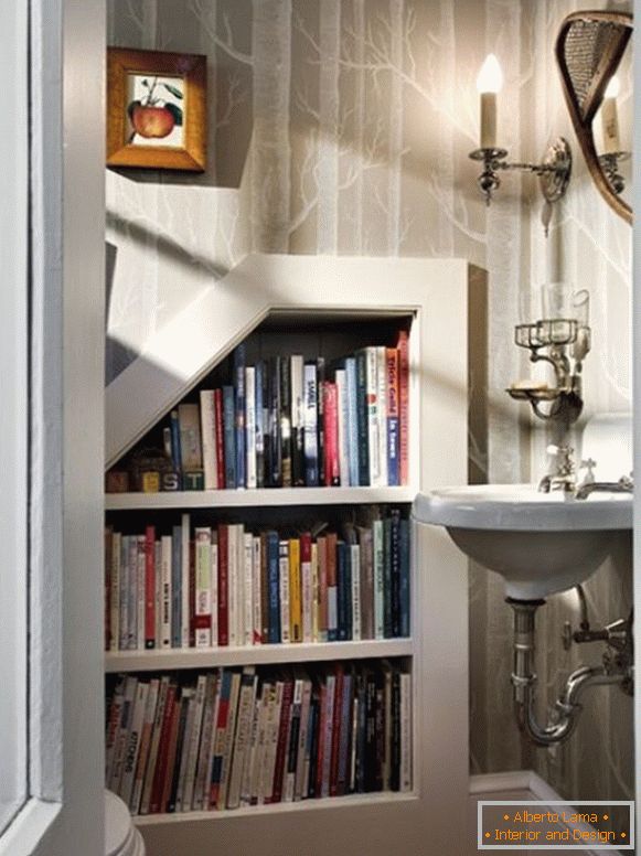 Library in the bathroom