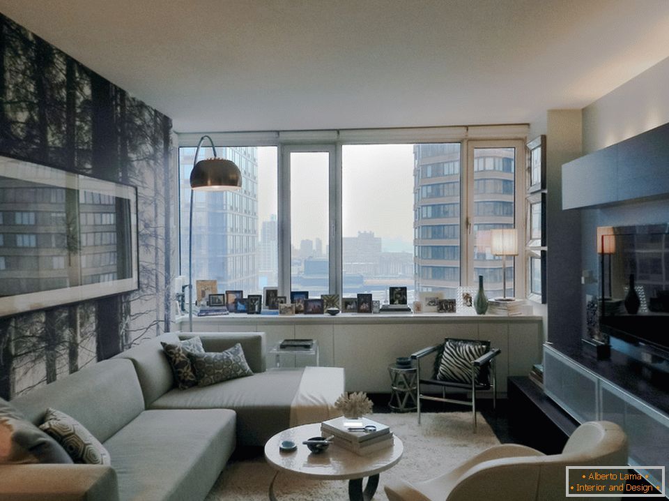 Living room bachelor apartment in Manhattan