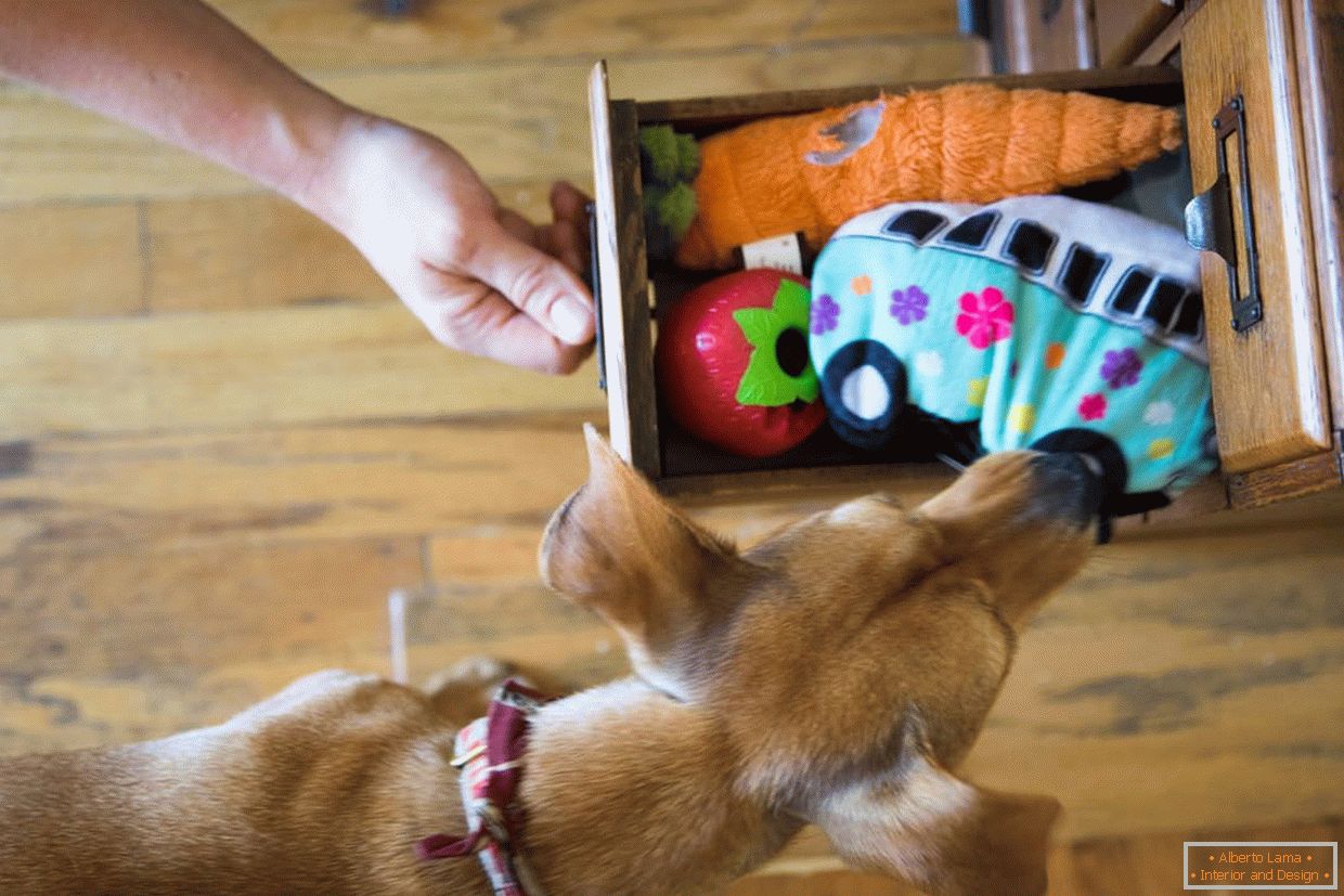 Box with toys for dogs