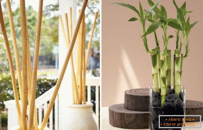 Bamboo as a decoration