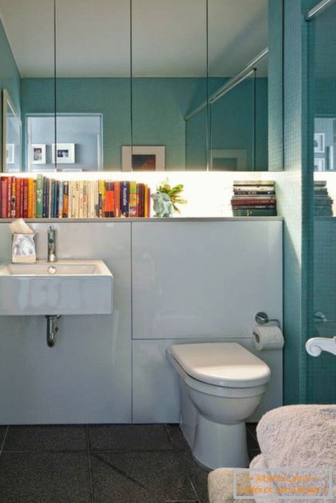 Bookshelf in the bathroom