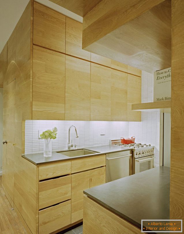 Kitchen rectangular apartment with one window