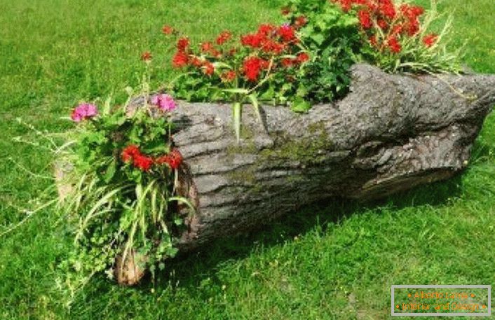 From the part of the felled tree, the summerman made a plush bed for his yard.