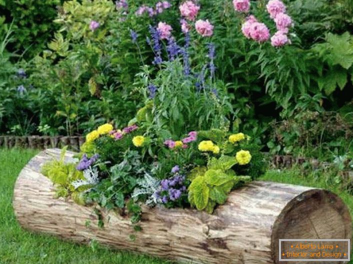 The flower bed is planted in an old log. 