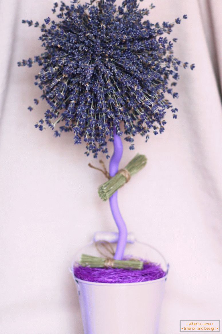 topiary-lavender-tree