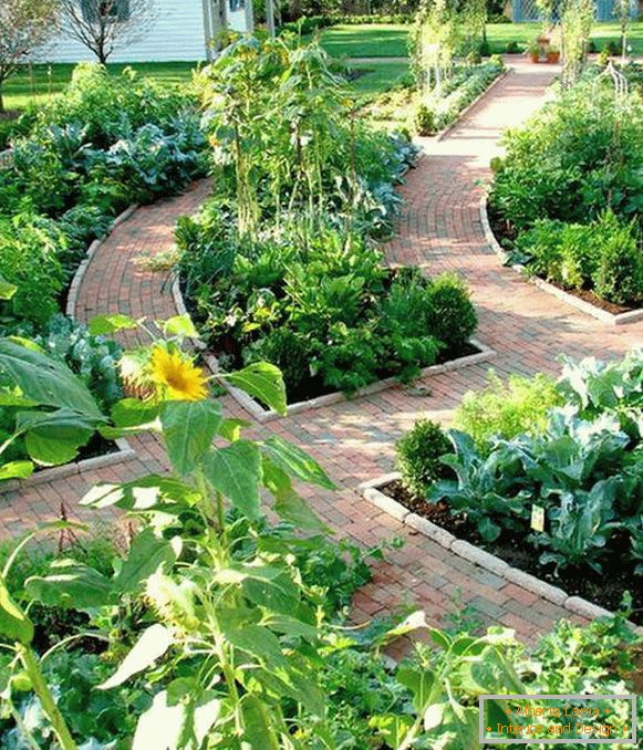 Brick paths at the dacha in the form of a labyrinth