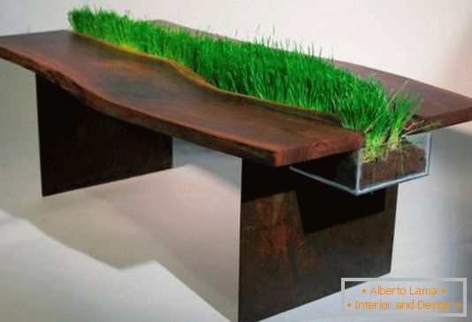 Decoration of a table by plants