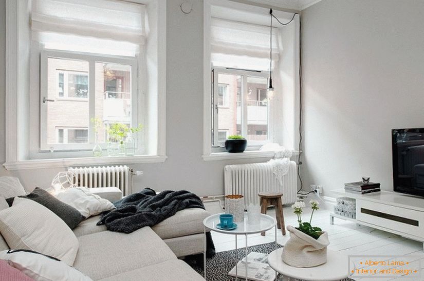 The living room of studio apartment in Scandinavian style