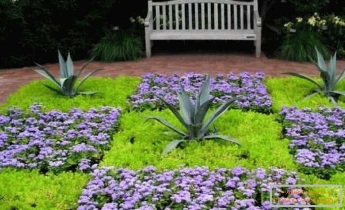 flowerbeds in the courtyard of a private house photo 1