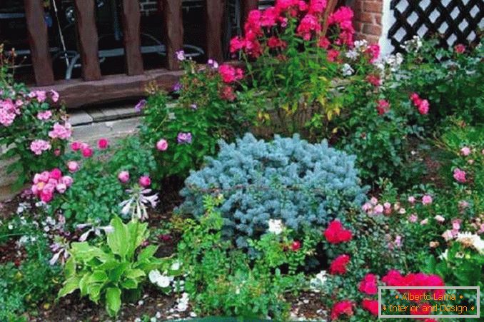 flowerbeds in the courtyard of a private house photo 8