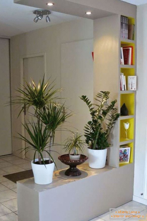 original houseplants in the interior of the hallway, photo 13
