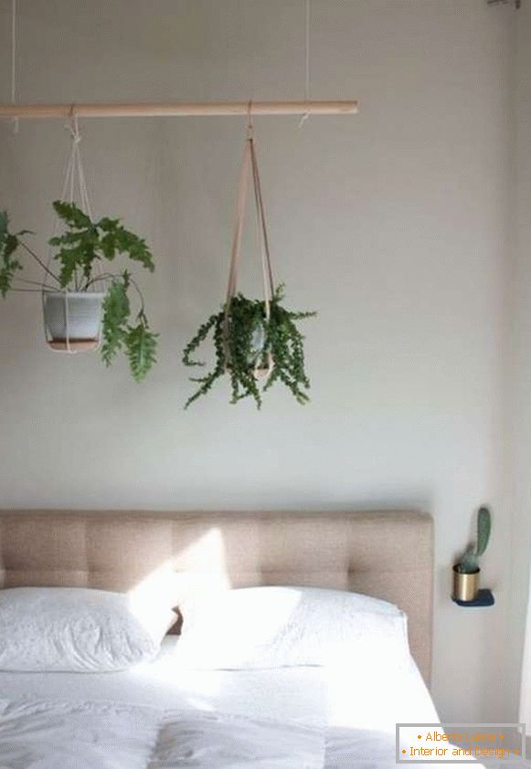 plants in the interior of a bedroom, photo 27