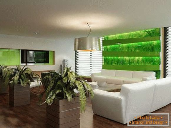 indoor plants in the interior of the apartment, photo 3