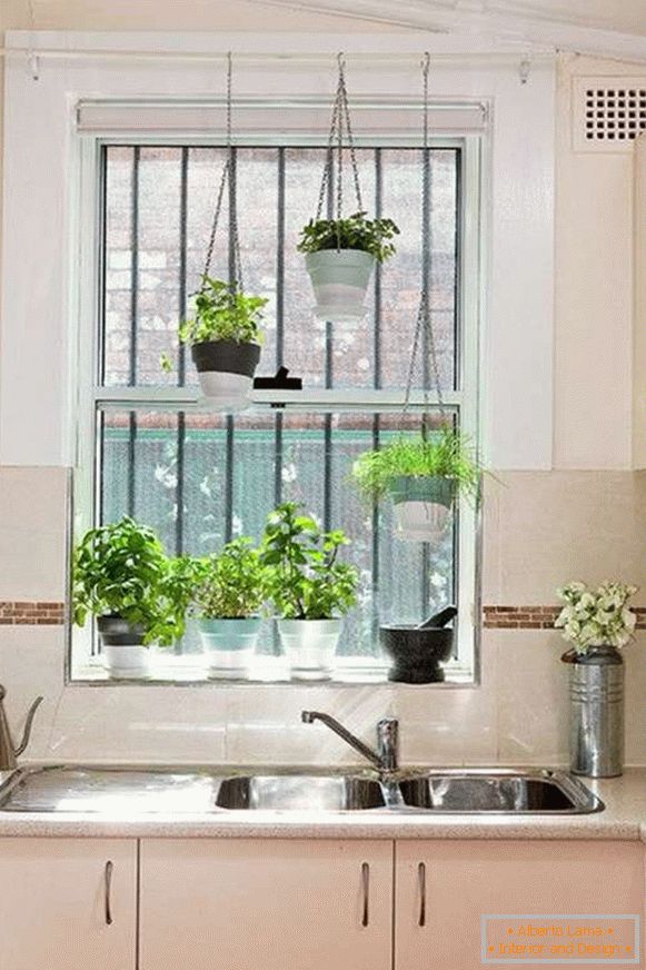 plants in the interior of the kitchen, photo 34