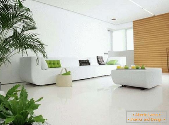 indoor plants in the interior of the apartment, photo 4
