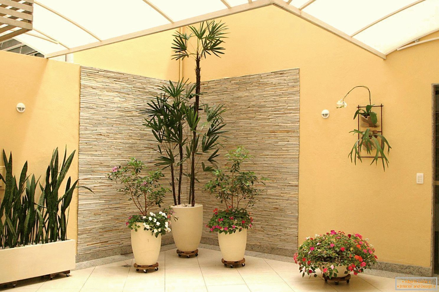 Indoor plants in the hallway