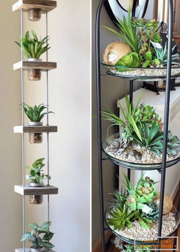 Shelves for indoor plants