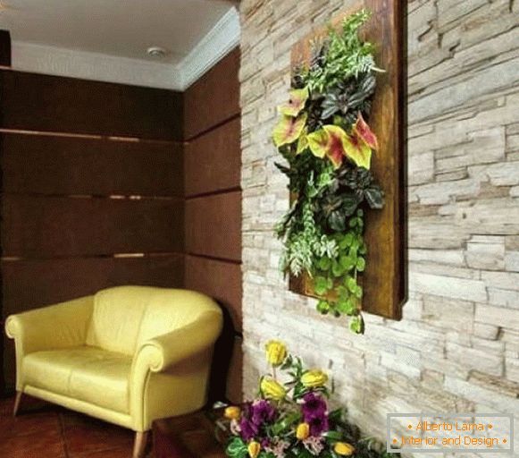 Indoor plants on the walls