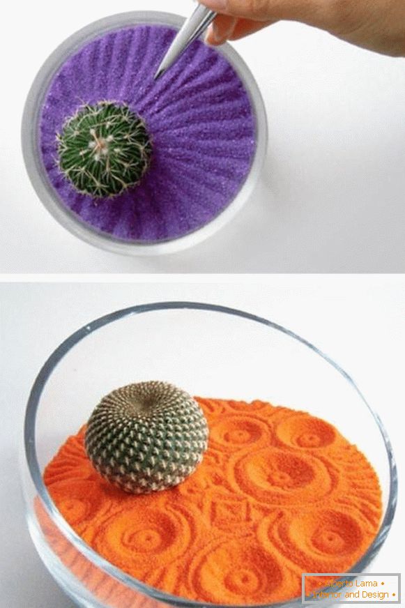 Cacti as a gift