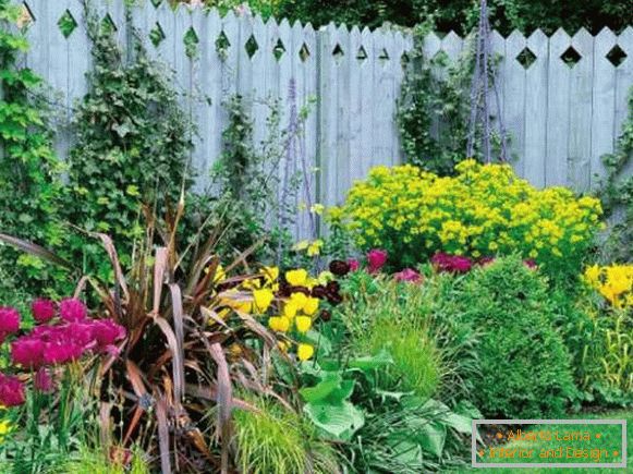 Landscape of the yard with their own hands - contrasting colors