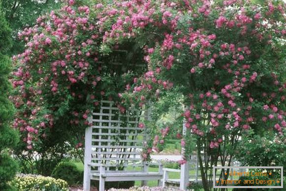 Landscaping of the yard with their own hands - a photo of the gazebo in the garden