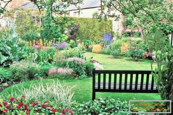 Landscaping of a private house with their own hands with plants