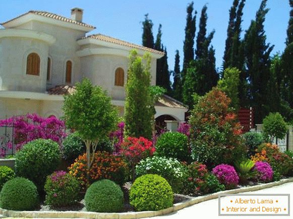 Landscaping of the courtyard of a private house, photo 16