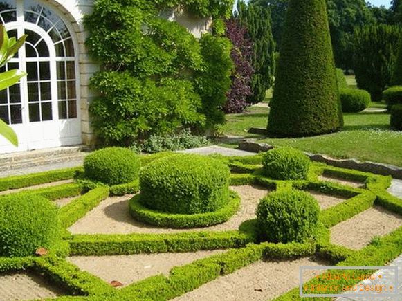 Landscaping of the courtyard of a private house, photo 23