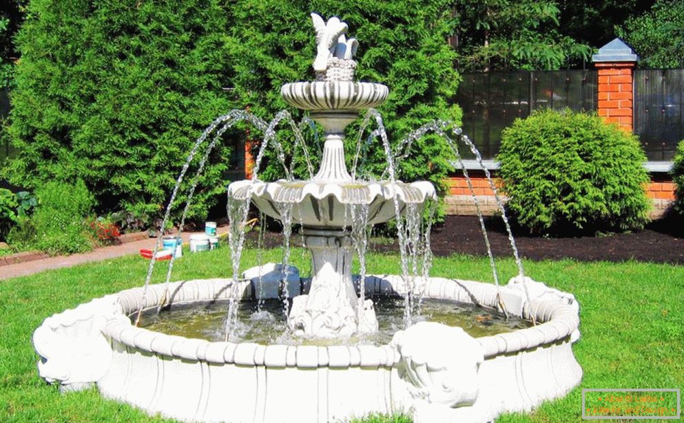 Fountain on the plot