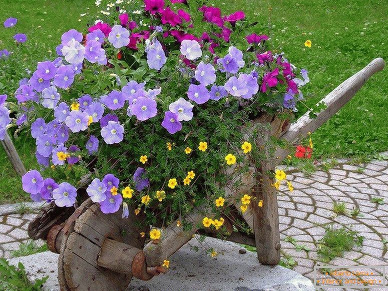 Decorative wheelbarrow with flowers