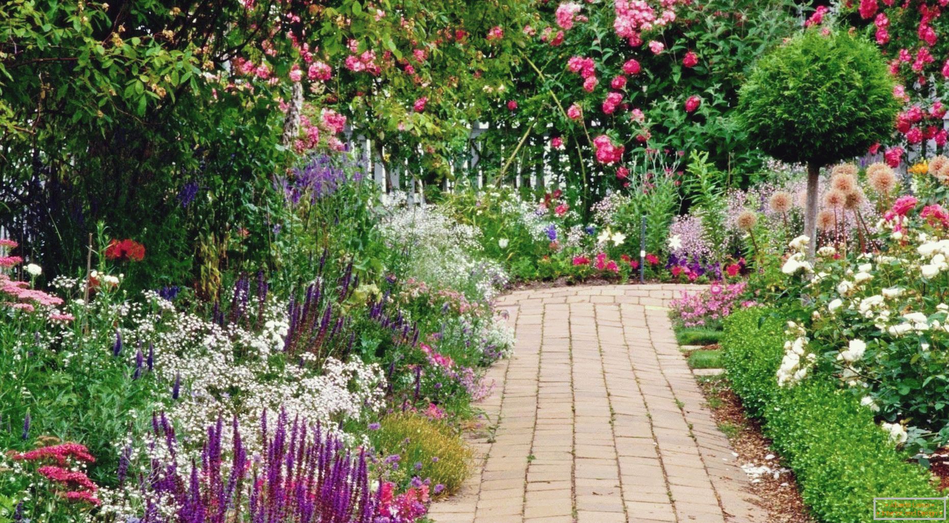 The path in the garden