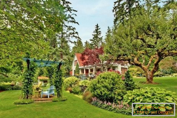 How to plan a country house site - a photo of a recreation area in the garden