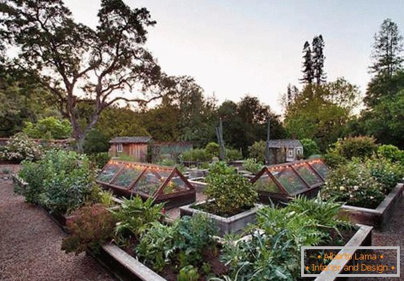 Country house - landscaping