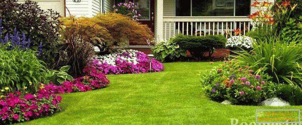 Lawn with flower bed