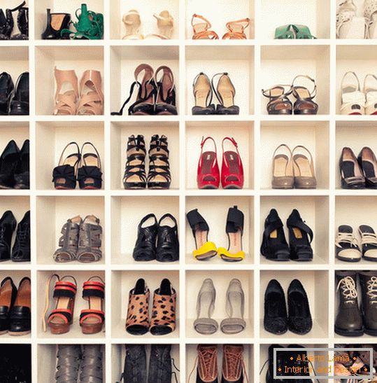Organizer for storing shoes
