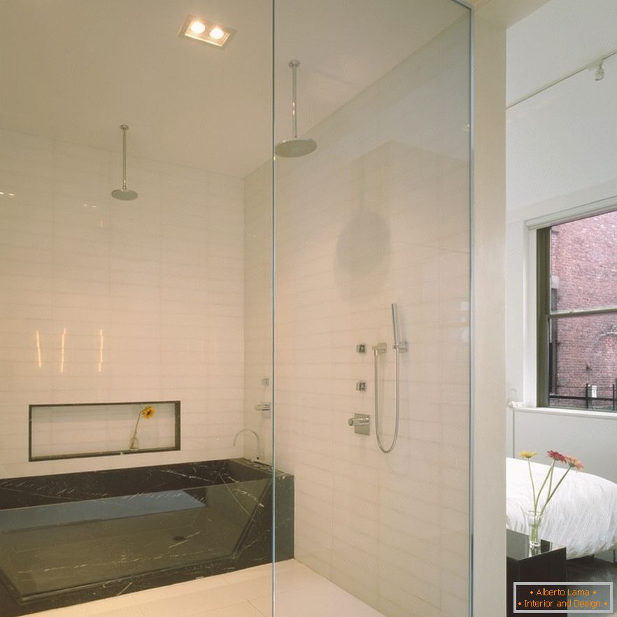 Bathroom and shower after glass