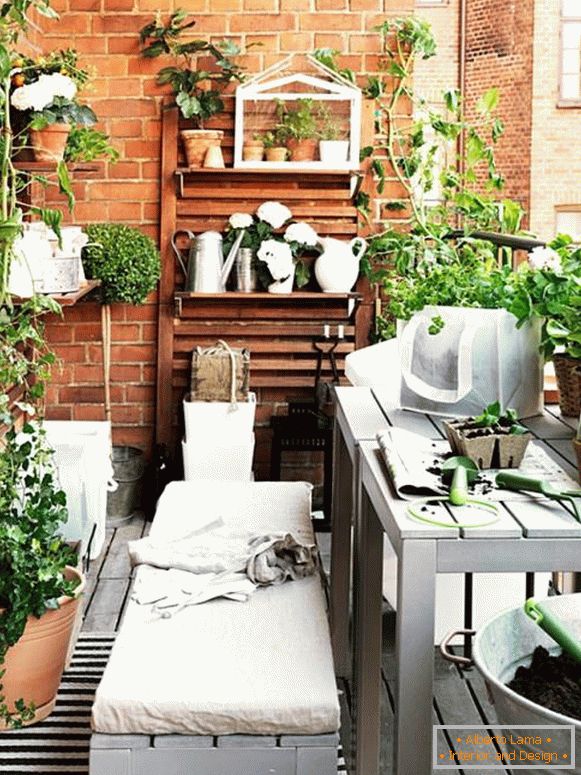 Balcony with indoor plants