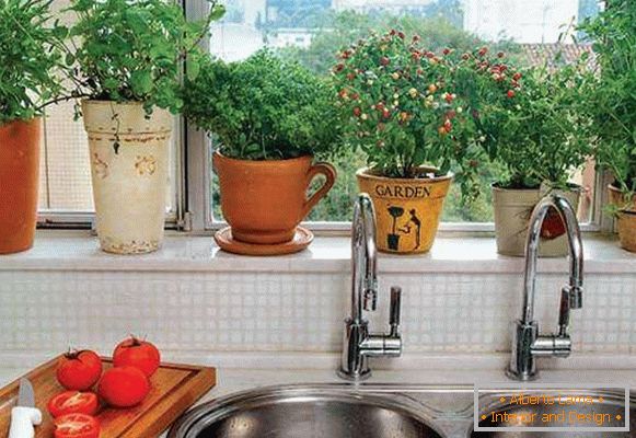 Seedlings and grass on the windowsill in kitchen design