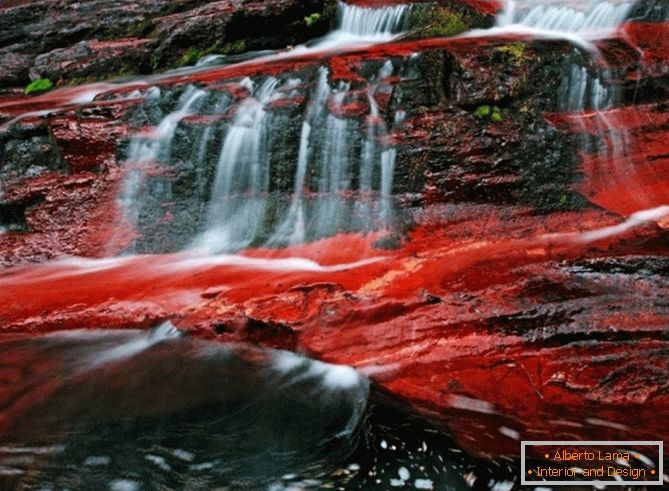 Red Lake на севере Канады